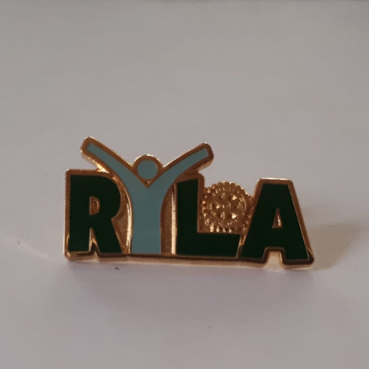 RYLA Kenya D9212 tweet media