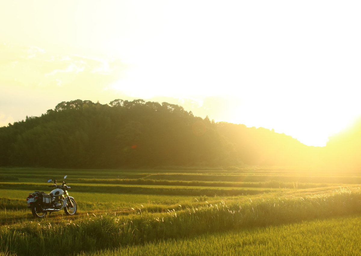 gromsyellow's tweet image. さて。
たっぷり川ちゃぷしたし日暮れてきたし、そろそろ帰路かな☀️

天気も良かったし最高の夏旅じゃったね(*´ω｀*)

#エストレヤ #夏旅
#わたしのお盆休み
#伊勢ツーリング