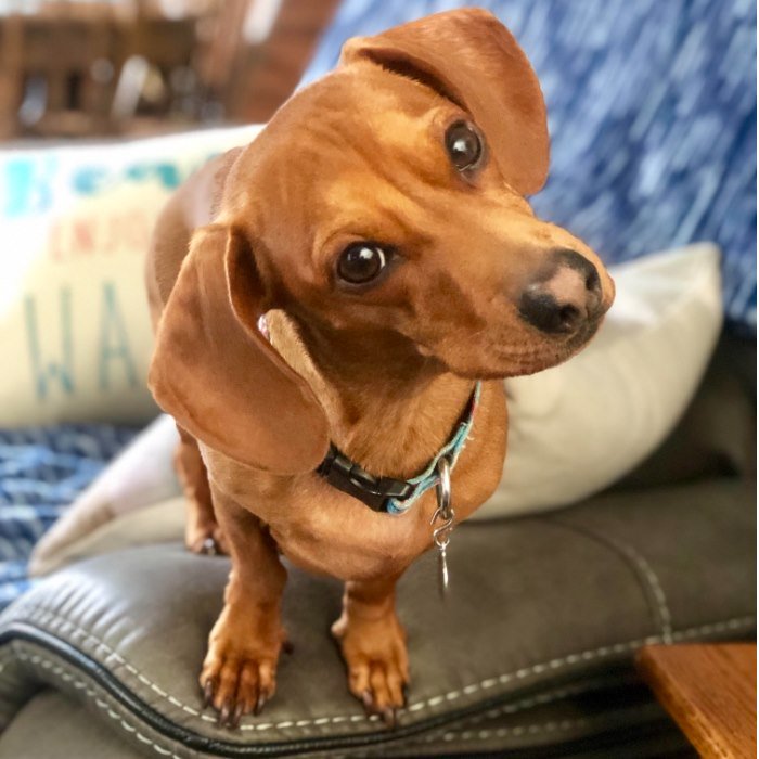 Kristin Iden 🌻🇺🇦 tweet media