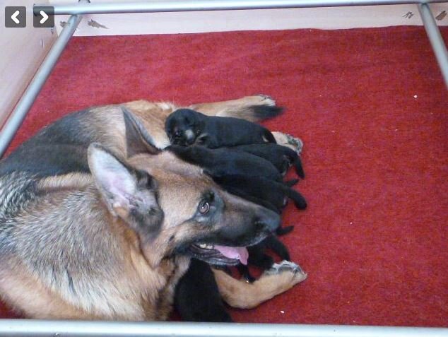 Pitt_BA's tweet photo. Je suis né le 20 juillet. J'ai déjà très faim 🍼 https://t.co/BgAjF1eqkI