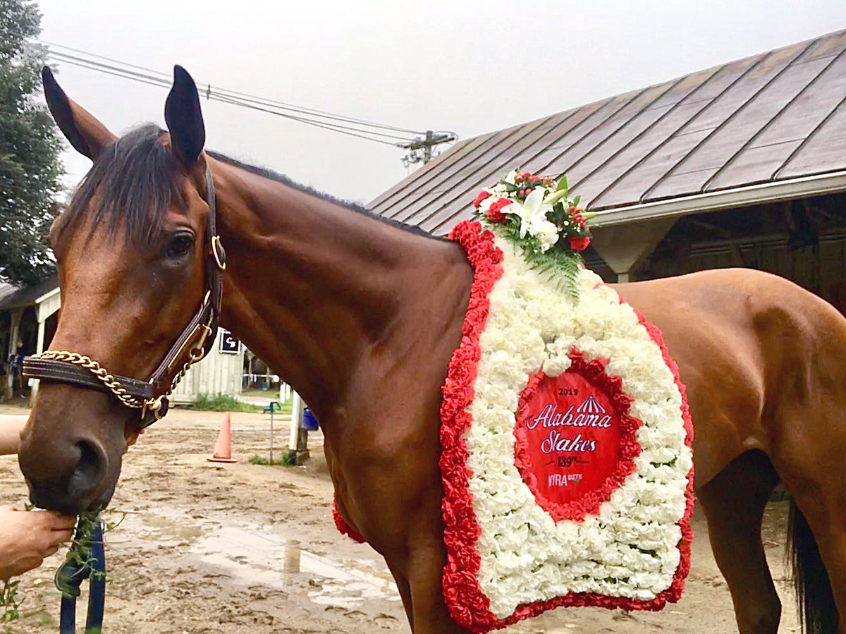 asia_savasta's tweet photo. Photoshoot this am with this beautiful girl and her flowers🌹😍 #DunbarRoad #AlabamaStakes https://t.co/32A4PU1tDX