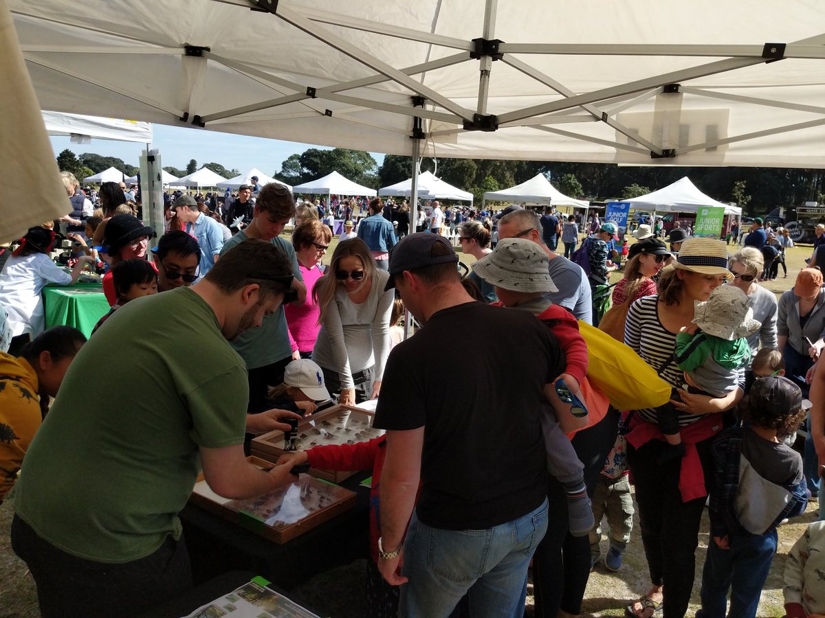 christiewithaC's tweet photo. Wow, huge turnout today at #scienceintheswamp event - great end to #Scienceweek! So many people keen to learn about #cicadas at our #cicadarama stall! Also check out the plush cicada toy I made!! ๐ #scicomm #ozinverts @ecotechnica @NaturesTextures @GeoS4m @Aus_ScienceWeek https://t.co/HyWjmQSDiu
