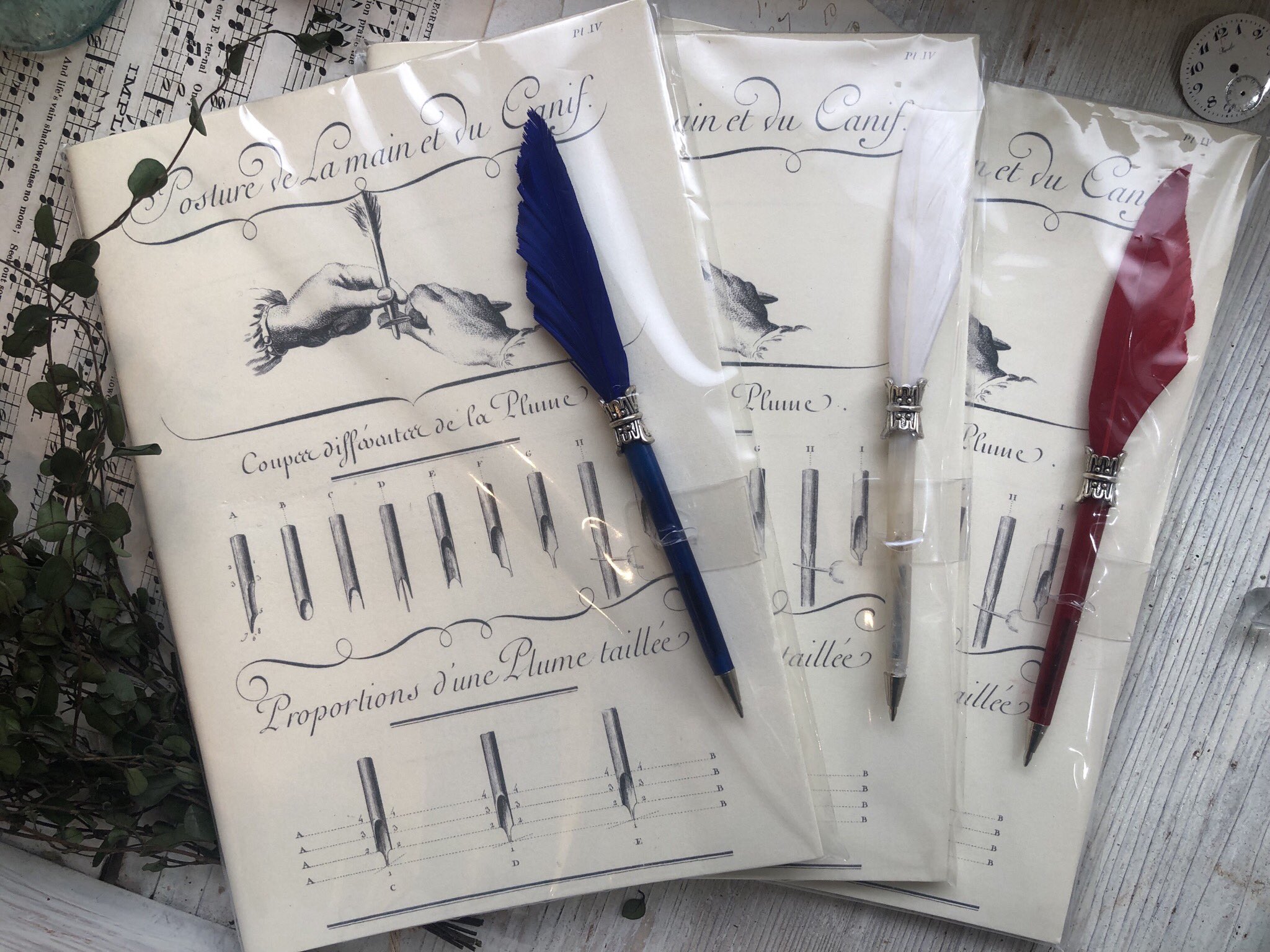 海福雑貨 ノートと羽ペンのセットが入荷致しました 羽ペンは ボールペンバージョンとつけペン バージョンがございます ノートの表紙は羽ペンの作り方の図解のデザインという素敵なセットになっております T Co Vdkcaph9ap Twitter