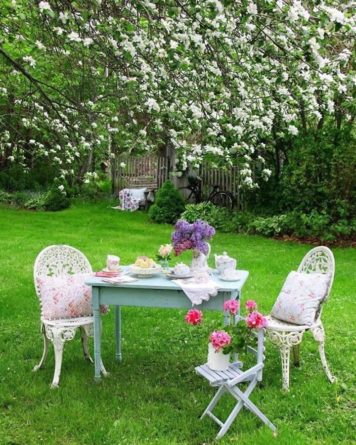 Стол под яблоней. Вишневый сад на даче. Чаепитие в весеннем саду. Стол в цветущем саду. Столик в саду.