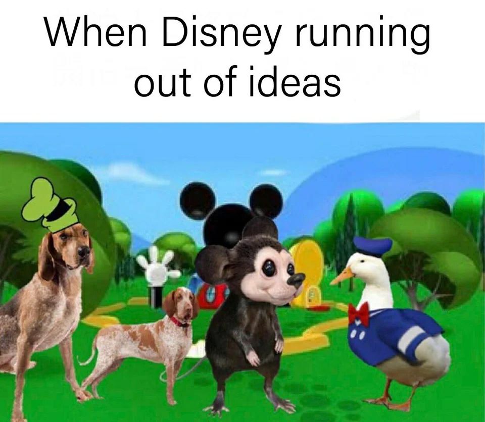 ECPCoBBX4AAoZQ_?format=jpg&name=medium