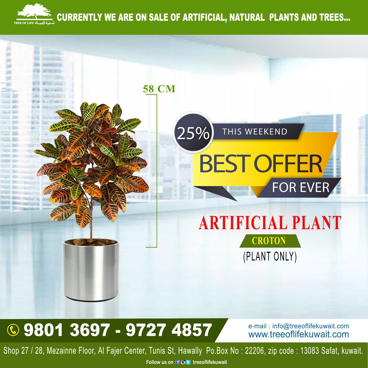 treeoflifekwt's tweet photo. #Treeoflifekuwait #Treekuwait #Plantkuwait #Artificalplant #Natualplant #Artificialtree #agriculture #interiordesign #homeimproment #newhouse #funiture #plantmaintenance #Grasskuwait #Mosskuwait #GreenWallkuwait #bigtree #halldesign #plantwork #plant #tree #summersale #offer https://t.co/MSIU9UuLxQ