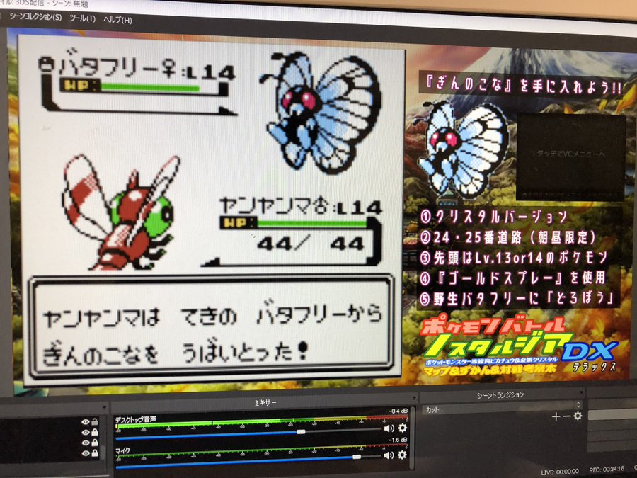 Vcのゲーム中で準備するもの きんのいれば