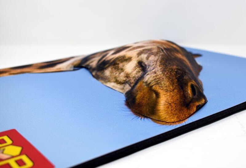 StackaWraps's tweet photo. Couple or StackaWraps ONE SHEET 3D experiments - just ONE sheet of card produces stunning 3D embellishments and uses Zero PLASTIC unlike Vacform and injection moulding - Want to get in on this game changing innovation for print and branding - email our team hello@StackaWraps.com https://t.co/Zgvn0RMRKh