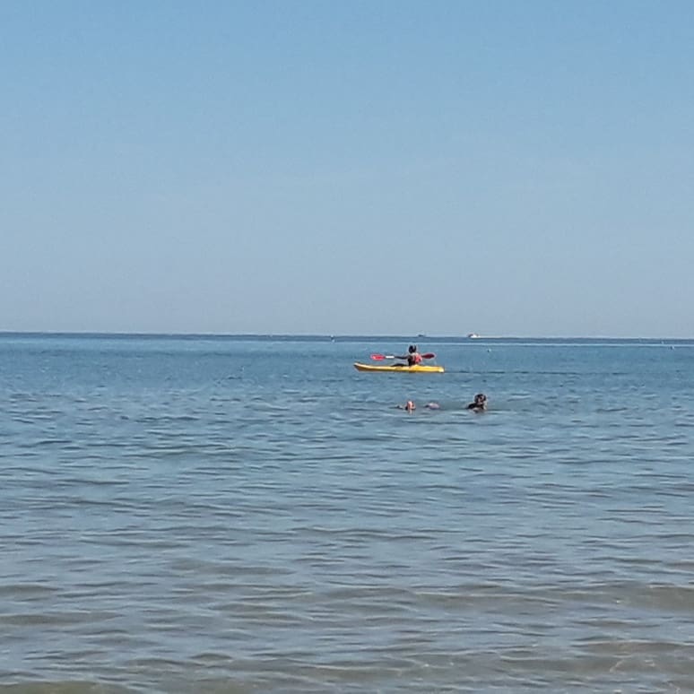 FilomenaGaspari's tweet photo. Domenica d'agosto, il giro in canoa è obbligatorio, l'acqua è perfetta
🛶
🌊
#PuntaPenna #canoa #agosto #beach #sunrise #bagnetto #riservaPuntaAderci #18agosto https://t.co/rWyl4DFrRU