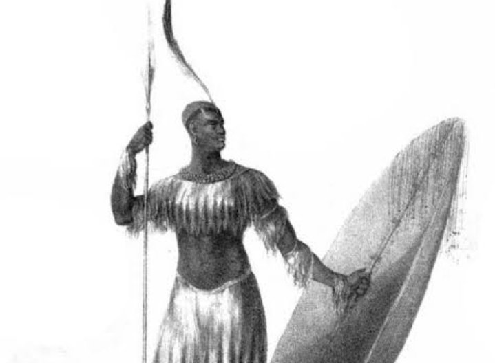 SabzerAzoh's tweet photo. Shaka's last words: 

"Ngeke nilibuse lelizwe lobuswa izinkonjane zezulu eziphaceka ngodaka" (You won't rule this world it will be ruled by the Heaven Barn Swallows that build nest with mud)

The Barn Swallows are birds that changes location due to the changing of season... https://t.co/20j4w53rC9