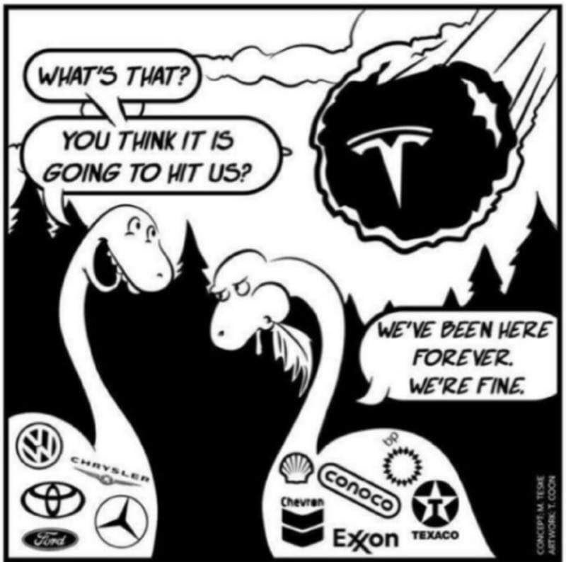 EvaFox's tweet photo. @elonmusk @jasonemry https://t.co/36qzPy8sTN