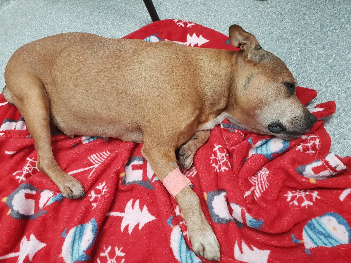 Danny.  Swampy tweet media