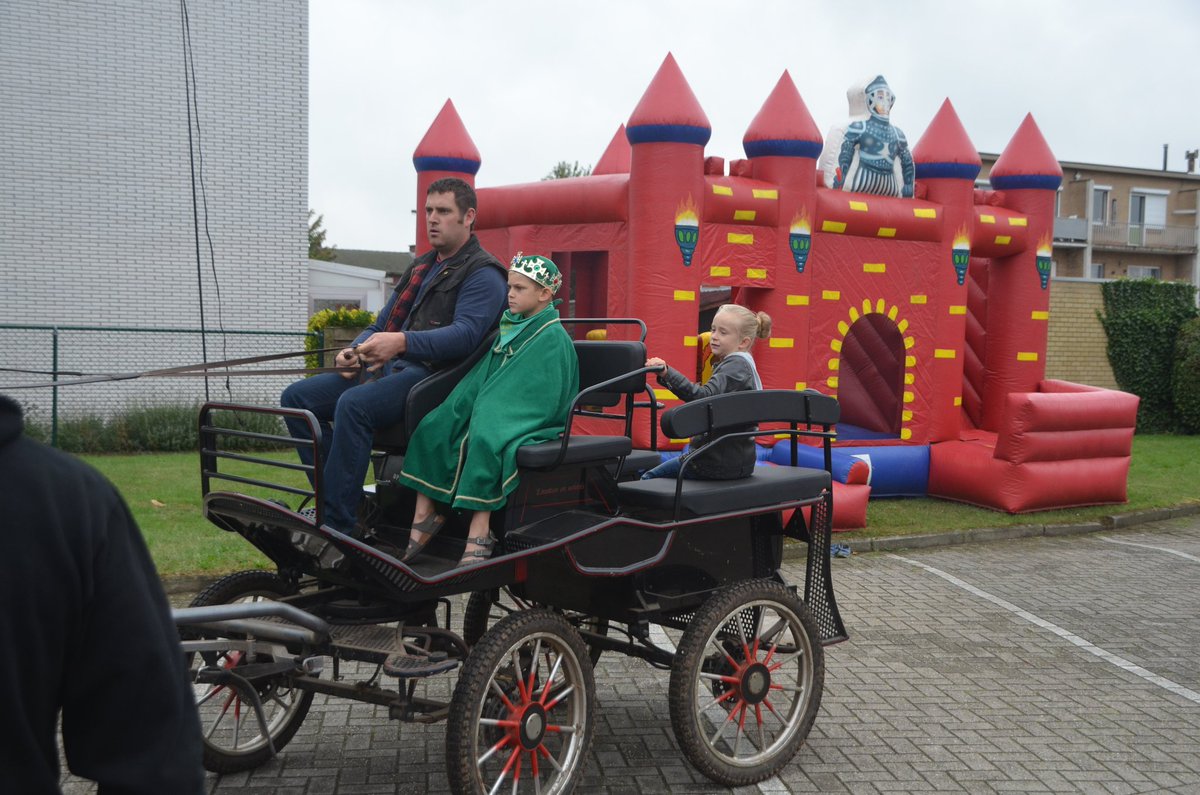 GansHoevenen's tweet image. Intrede van koning Jef #Minigans #Hoevenen #ganzenrijden met paard en koets.