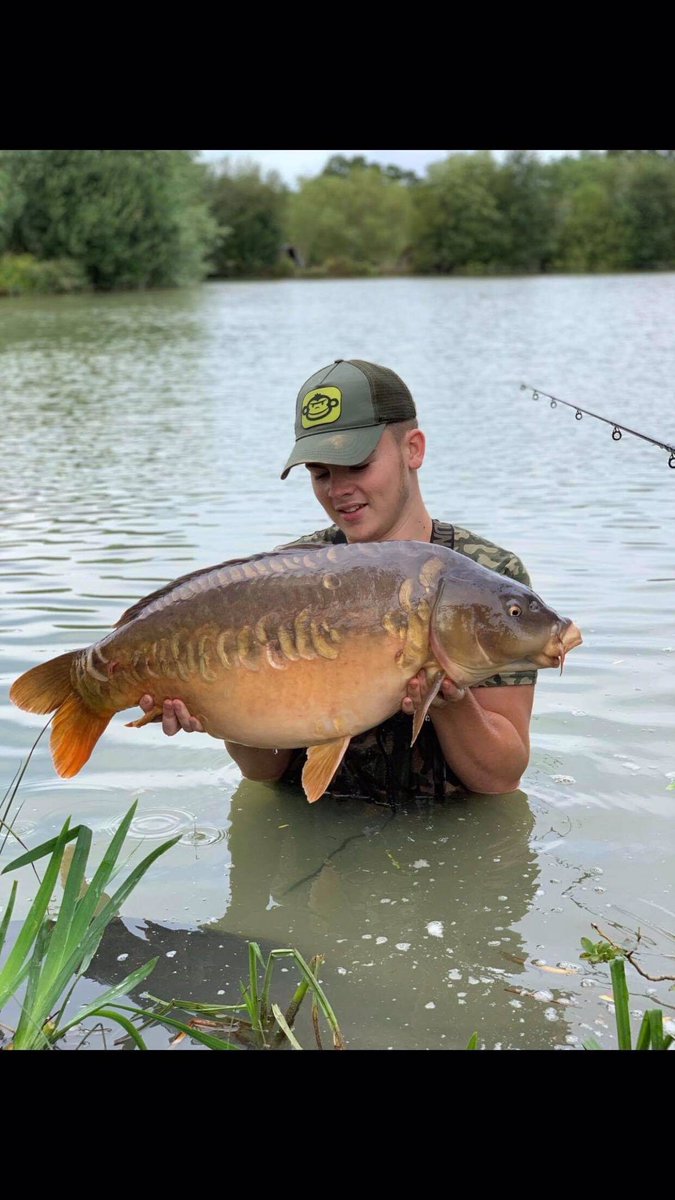 galaxybaits's tweet photo. ***********PB Alert**********
Our latest addition to Galaxy Baits Team UK has smashed his PB with a cracking 31lb linear from Cackle Hill ! He had result few weeks ago banking plenty of  carp from Oak Lakes ! 
#Topangling
#Teamsgettingstronger
#Xavierwafters
#SkunkOilPopUp
#🏴󠁧󠁢󠁥󠁮󠁧󠁿 https://t.co/HxCCGb6y47