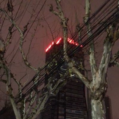 Ryanyang917's tweet photo. #新头像 https://t.co/nZbLTRMfqF