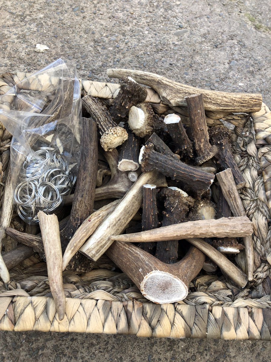 thedeervet's tweet photo. Busy day yesterday, assistant deer farmer preparing dog chews and some key rings to sell today. https://t.co/hIMrKrlYnO