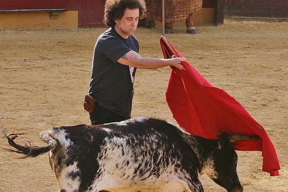 💬 Andrés Calamaro: "El toro es el más amado de los animales (con permiso de las mascotas que esperan castradas que les permitan orinar mientras mendigan la atención de los dueños que se retratan con el perro para mostrar la foto en San Valentín)".

🔗ABC: bit.ly/ElReichAnimali…