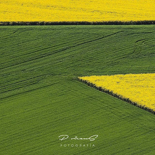 pablovicensh's tweet photo. #abstracción #abstract #AbstractaRealidad #abstractreality #fotografía #photography #tw #amarrillo #yellow #verde #green https://t.co/UcpRWkzvOs