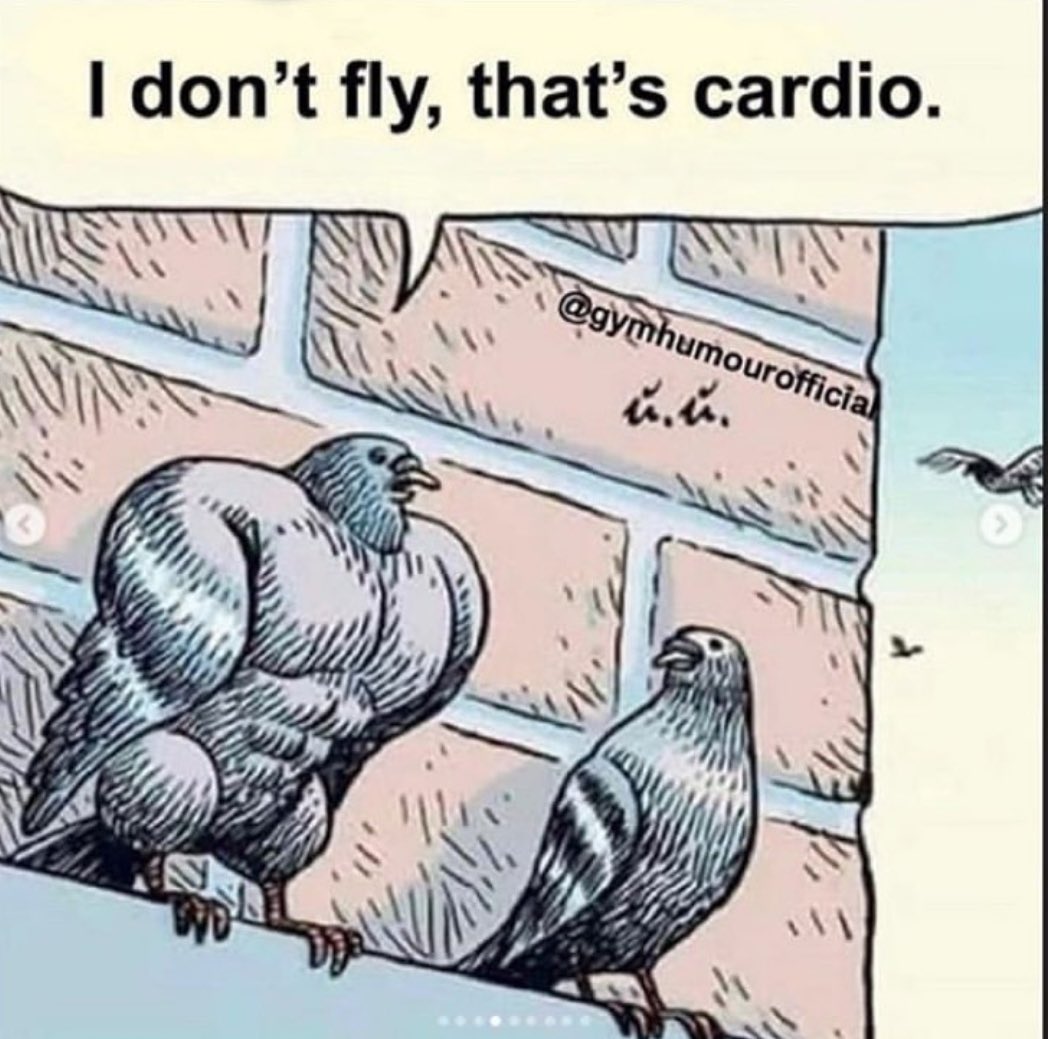 BradSchoenfeld's tweet photo. Pretty much sums up how I feel whenever I see a jogger 😆💪🏽. Cheers to @gymhumouroffic1 for the comedy https://t.co/7Q0Jf2wfKd