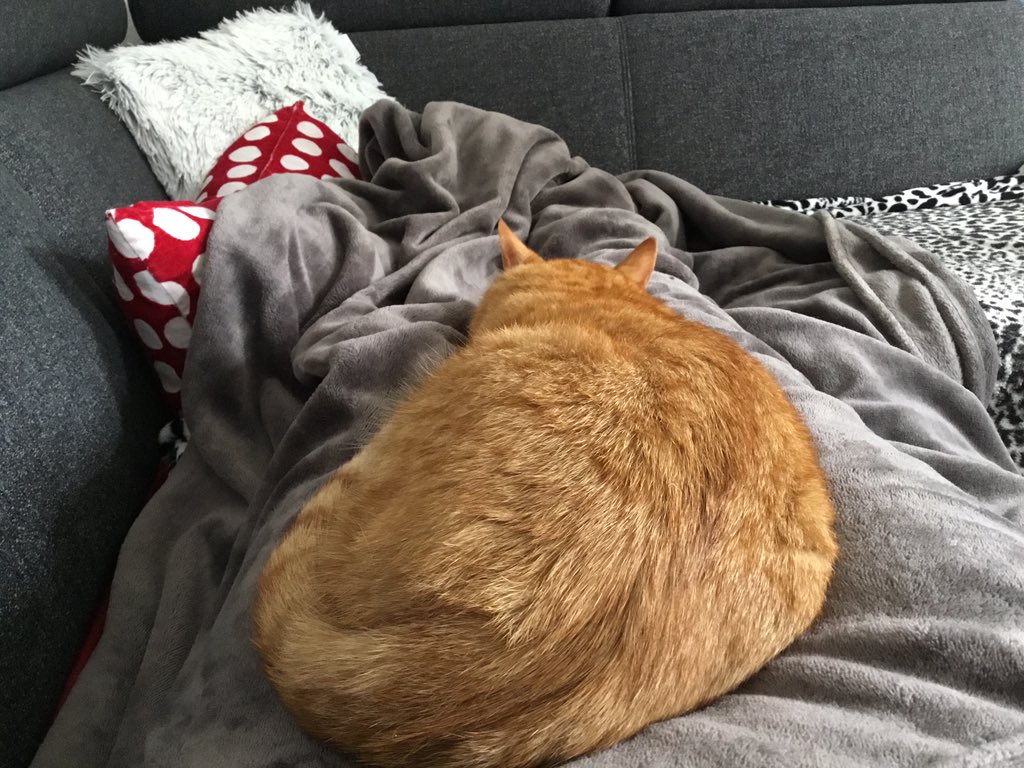 DagenKaren's tweet photo. @inster6789 @JoMacIntosh1 #itsagingerthing https://t.co/fpnNXzzxTY