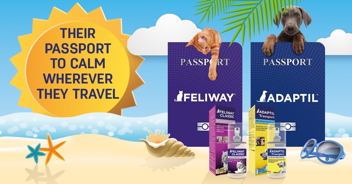 For some cats packing their Feliway Classic spray is just as important as their passport! It helps keep them more comfortable during the holiday season so make sure you pack theirs 🙂 #feliwaytravel #pheromonetraveltips #petholidayseason