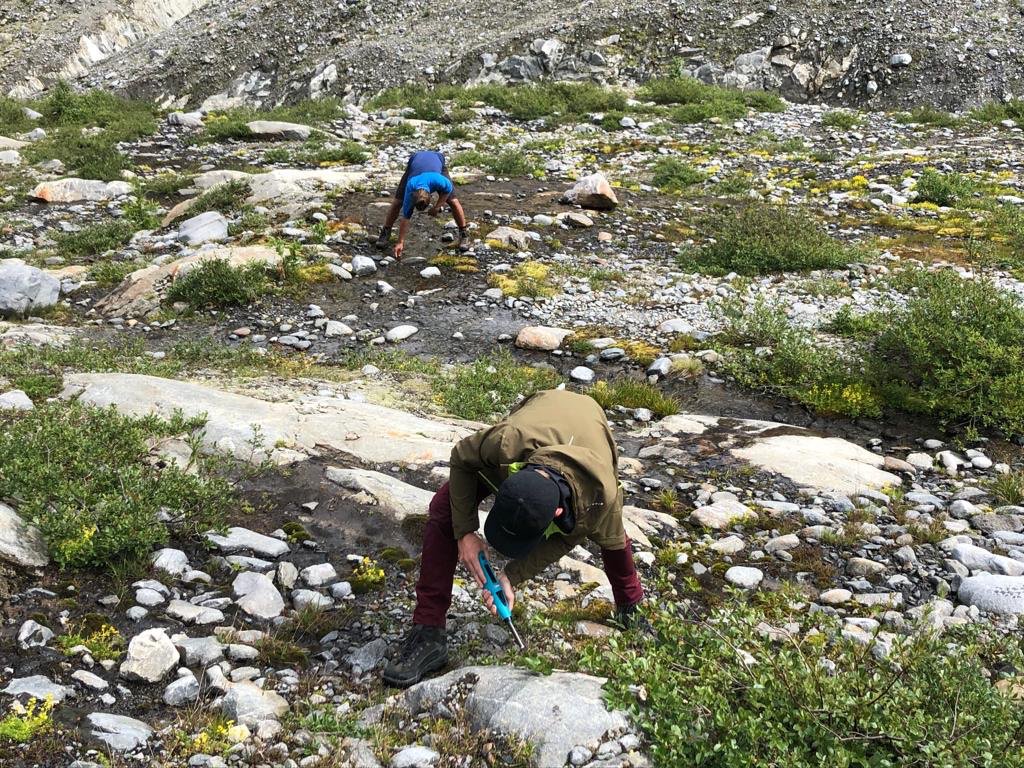 S_Haselberger's tweet photo. #KTAL_GP19 day 2: "Where are the lichen - what‘s the R-value?
Determining dates of glacier retreat in the #GepatschFerner glacier foreland. #lichenometry #rockschmidt" (group: #SandwichKinder) https://t.co/1InzQk1ODg