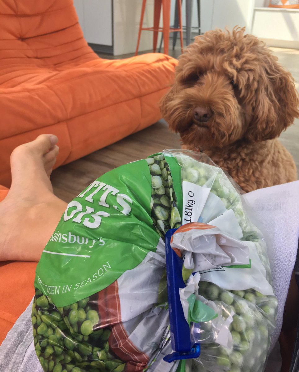 CarolynMPhysio's tweet photo. Oops #AHPsActive #AHPsinactive. Popped medial head gastrocnemius. Doctor Doodle to the rescue. Anyone know a physio 🤪😱? https://t.co/shctduz9zG