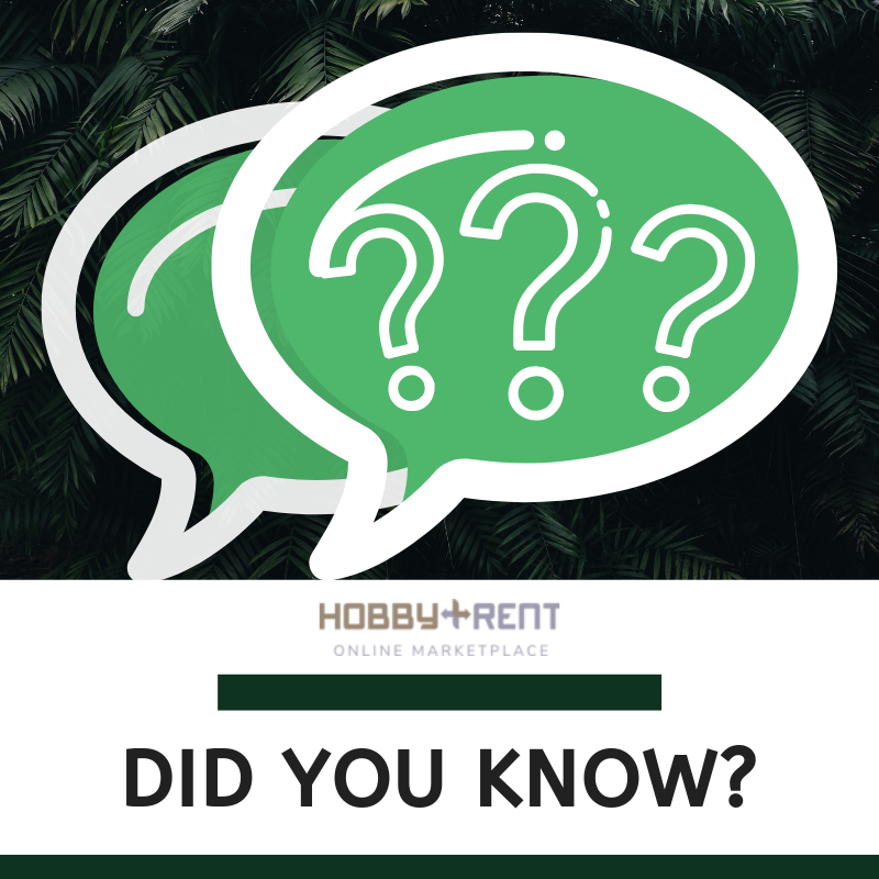 HobbyRent's tweet photo. "Fact:

""Yahoo"" is an acronym for ""Yet Another Hierarchical Officious Oracle."""

#facts #hobbyrent #fyi https://t.co/rZiBKMJjTF
