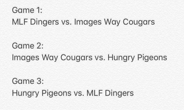 Bigham County Wiffle Ball tweet media