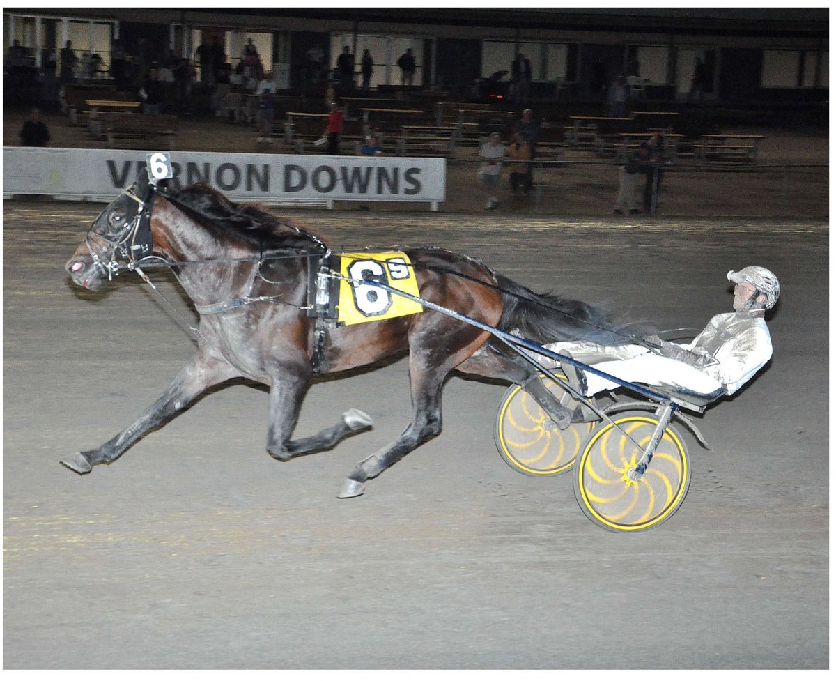 Joe_Zagari's tweet image. #Greenshoe 🇺🇸 #FatherPatrick won #HarryZweigMemorial 2019🏆- $330,000 3 Year Old Open on 🏟️@governondowns 🇺🇸 with #BrianSears &amp;amp; @MarcusMMelander @Courant_AB ⏱️1:52.0 on 1 Mile (26.4 - 1.09.6) over #GreenManalishi and #Marseille
📸 #Fotowon