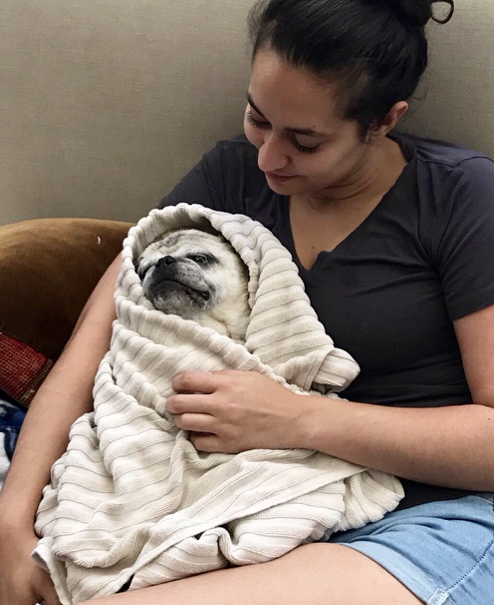 Get yoself a bestie who snuggles and cuddles after bath time 🛁 instagram.com/p/B1SMOnzD3Gf/

How are all you #PugChat beauties spending your #SundayMorning?
