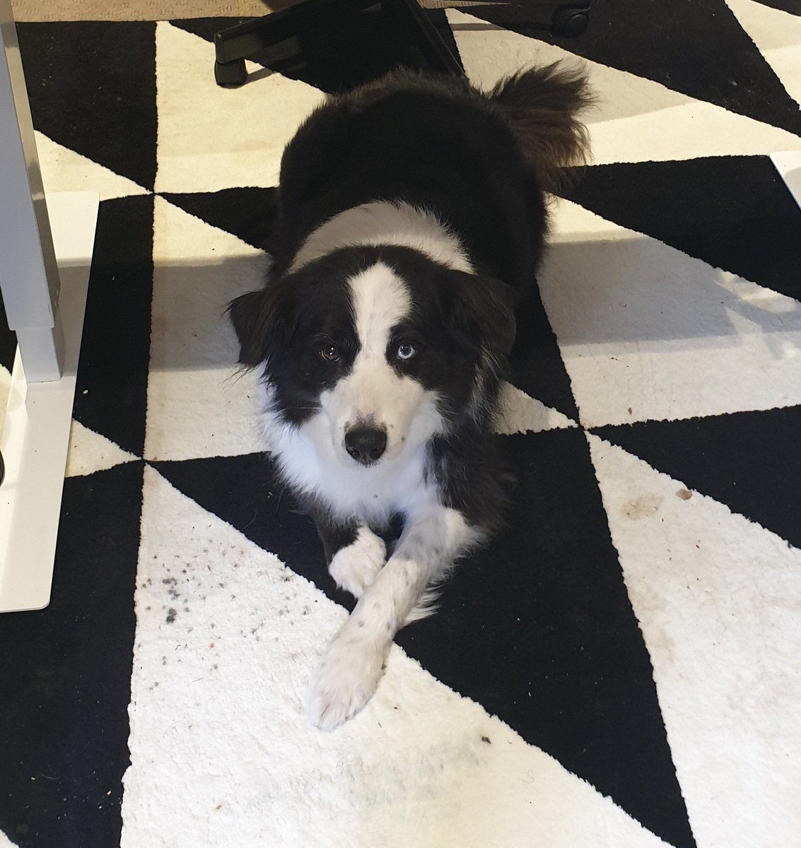 GemmaTognini's tweet photo. @SydneyLWatson Ahem... #Bustergram https://t.co/LXAkSIlNzF