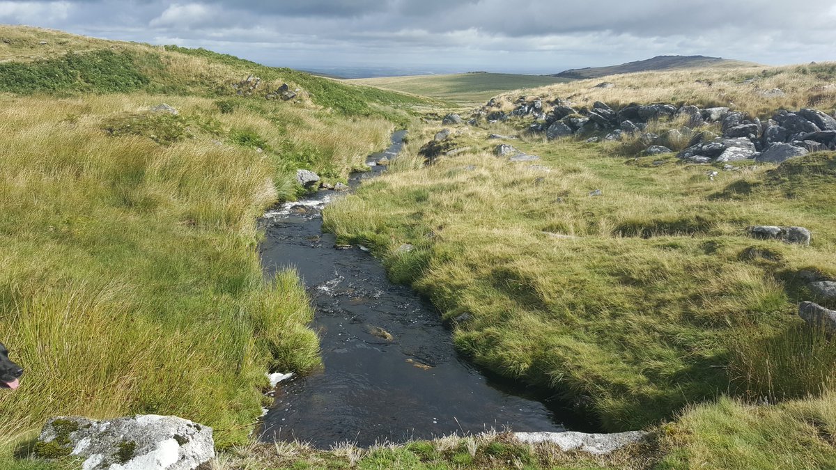 so lucky to live where I live #Lucky #Dartmoor #Devon #Walks #Views