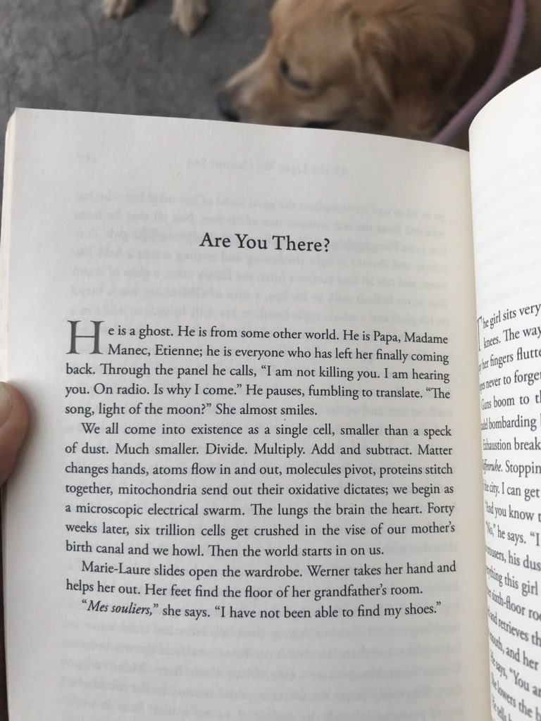 pauljohncana's tweet photo. Another astounding read. Drama, history, romance, suspense, all in one book so amazingly written the sentences practically jump at you. It’ll be hard to get this one out of my head. (Read this chapter, one of my favorites, for a sample). #AlltheLightWeCannotSee https://t.co/lmvrWOAidm