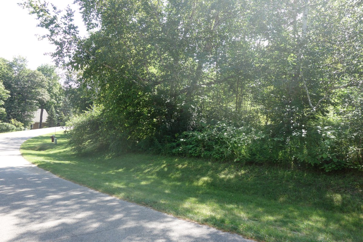 New Listing: Wooded Lot at Bay Harbor's Vistas. Build your own northern Michigan bungalow and immerse in the lifestyle and community amenities and year round events.  harborsir.com/eng/sales/deta…  #BayHarbor #gatedcommunity #newlisting #privacy #resort #BayHarborYachtClub