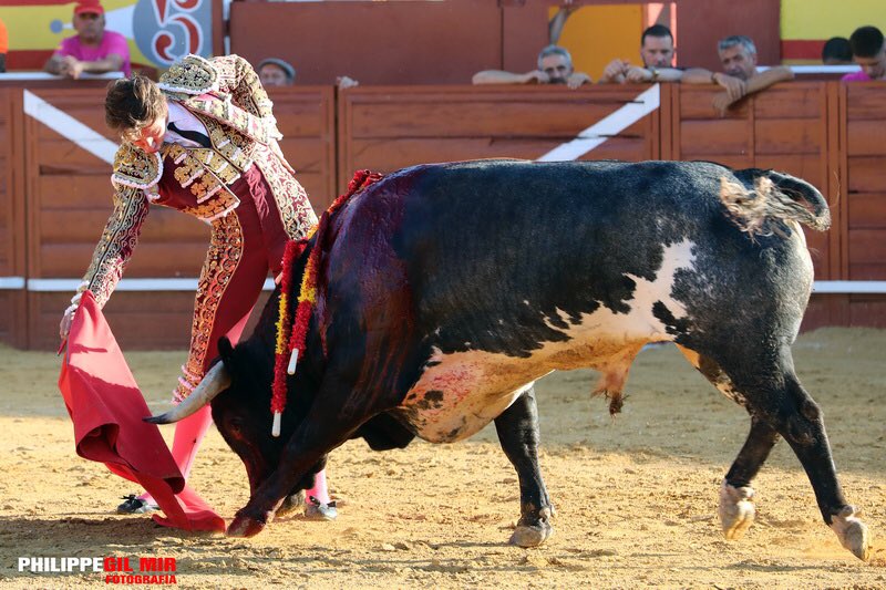 Daniel Barbero tweet media