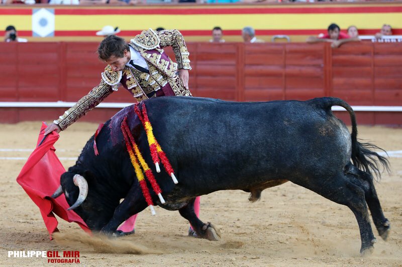 Daniel Barbero tweet media