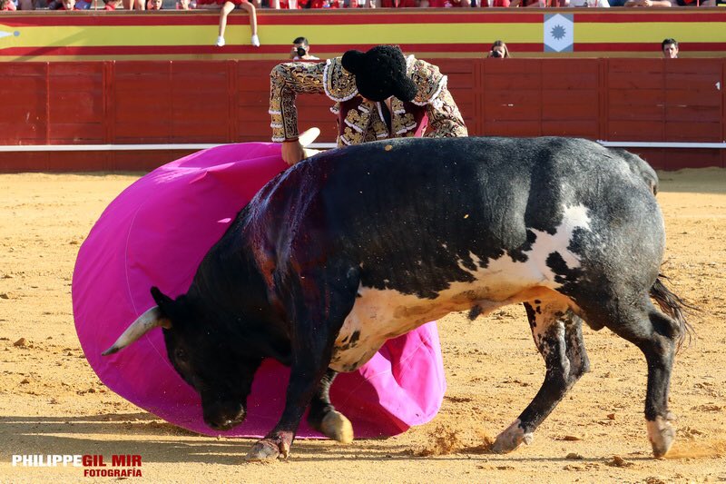 Daniel Barbero tweet media