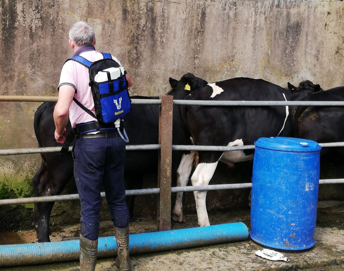 aherneliz's tweet photo. What else would you be at on a Sunday morning π€π€¦ββοΈπ #EA #worming #beefcattle #dairytobeef #SundayFunday #takingadvantageofthehelp https://t.co/5qZ4bbeI2S