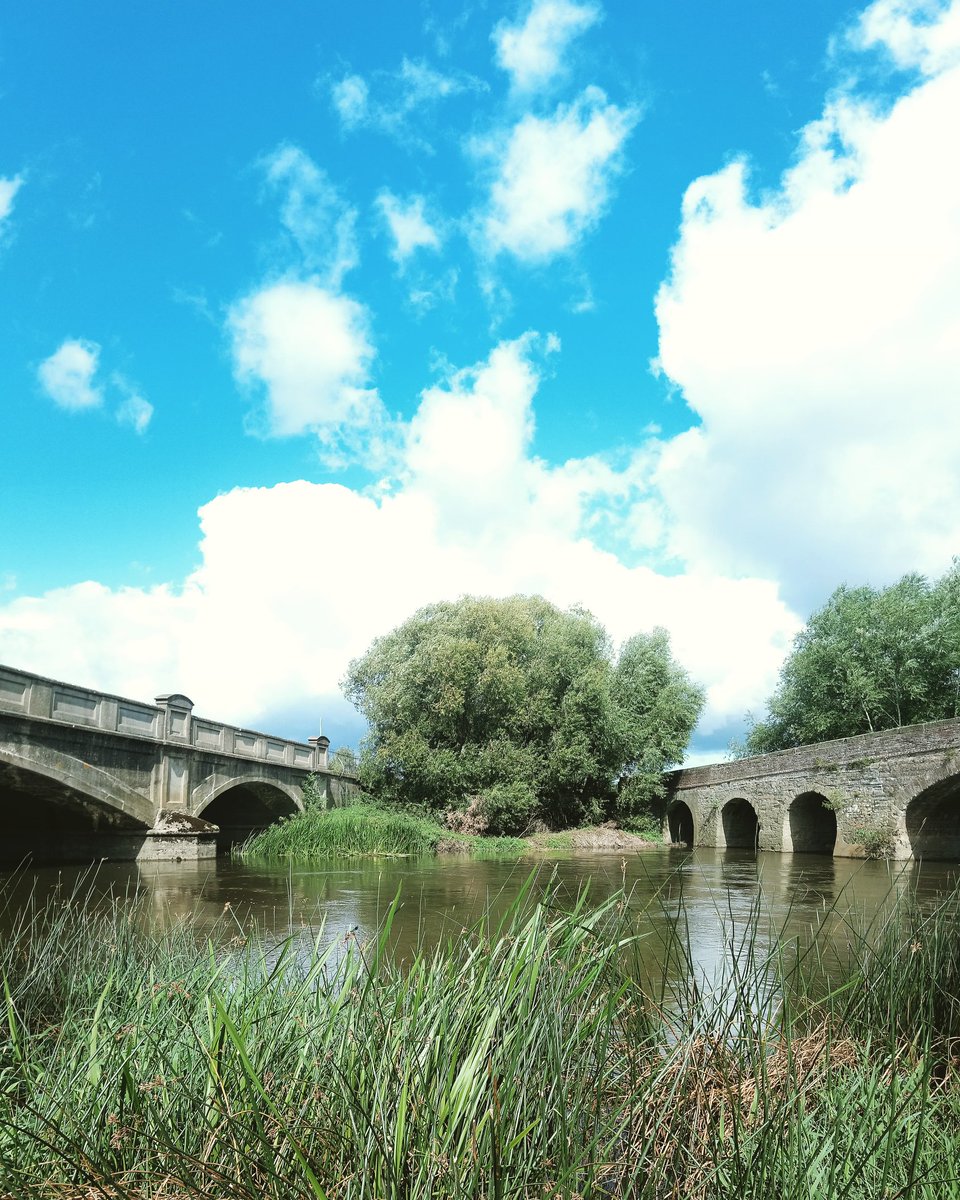 Andrew Lawson tweet media