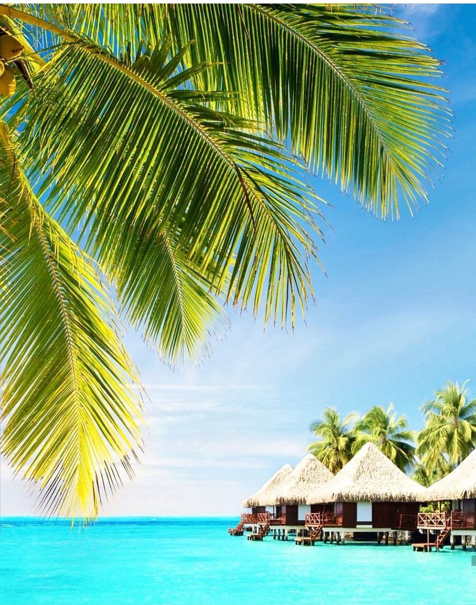 Azureswimwear's tweet photo. This way to paradise 💦 #maldives #azurewaters 📷: @travelinghawk_ https://t.co/9OOQoZbMzj