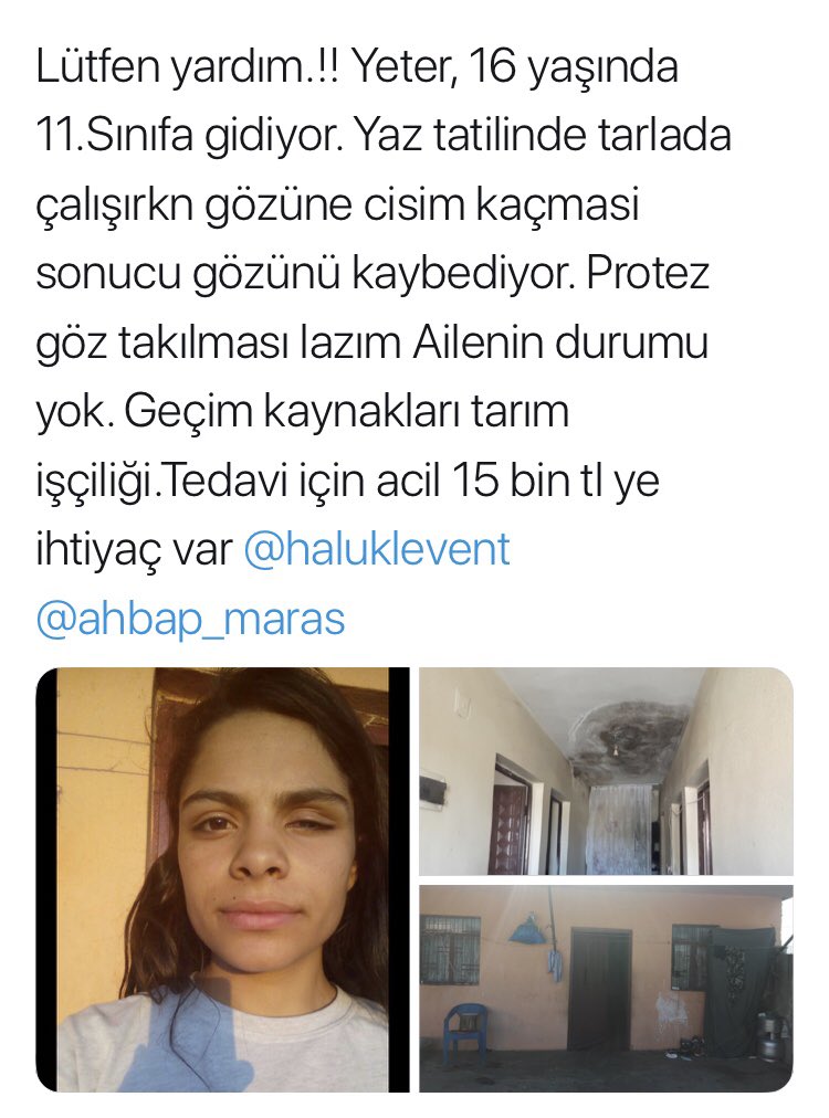 Adı Yeter !
Gerekli araştırma yapıldı. Durum acil.
Yeter’in ameliyat masrafını üstlenecek bir hayırsevere muhteşem bir akşam yemeği hazırlayacağım !
❤️❤️