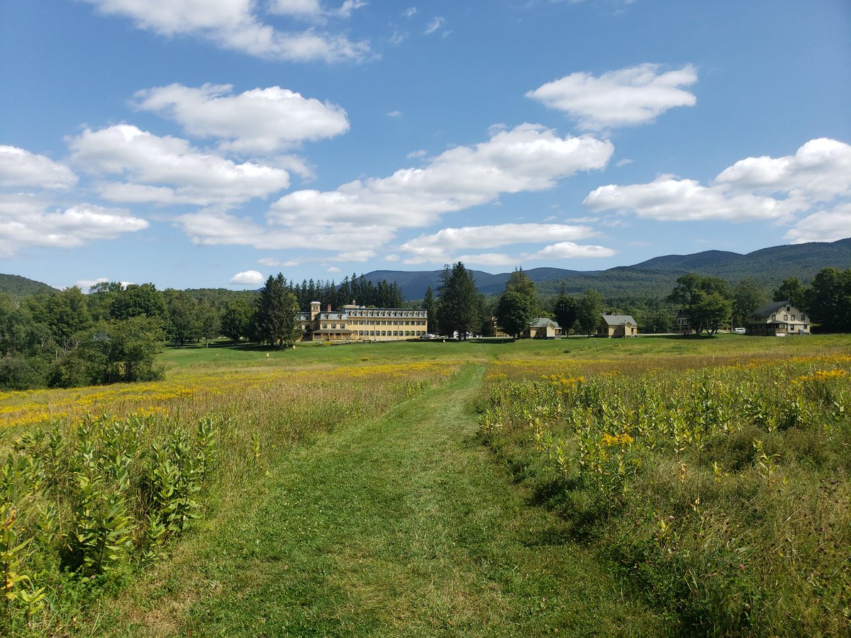 DianaCejasMD's tweet image. Obligatory photos from these first few days at #BLWC19...