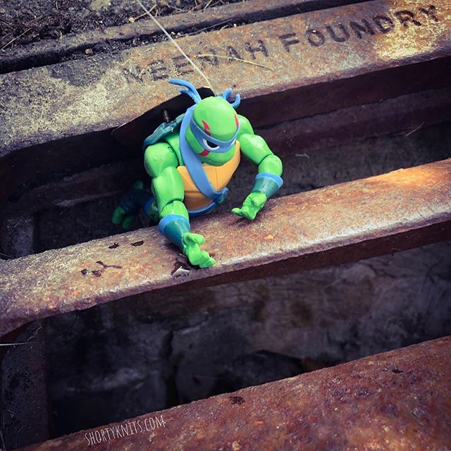 shortyknits's tweet photo. Clever caches make me happy. I mean, who wouldn’t smile pulling a TMNT out of the sewer grate? 🐢 😃 💚
•
•
•
#geocaching #caching #geocache #multicache #tmnt #creativecaches #gogeocaching #gocaching #geocachingfun #westbend #megaevent #shortyknits https://t.co/zEpU5KDClW