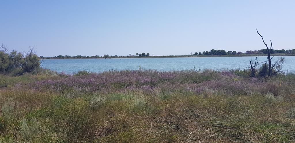 Lagunadelmort Hashtag On Twitter