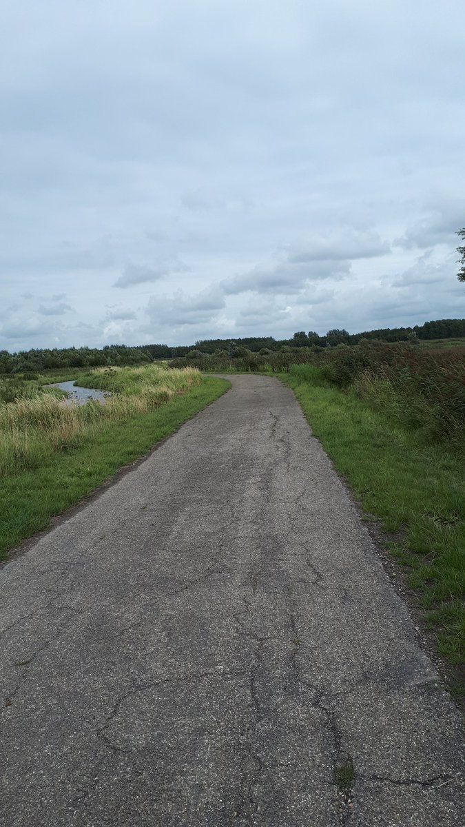 GijsvanderKroef's tweet photo. Natuurgebied Bovenlanden nabij Nieuweschans #Pronkjewailpad #pwp2019 https://t.co/k21pFYlHUz