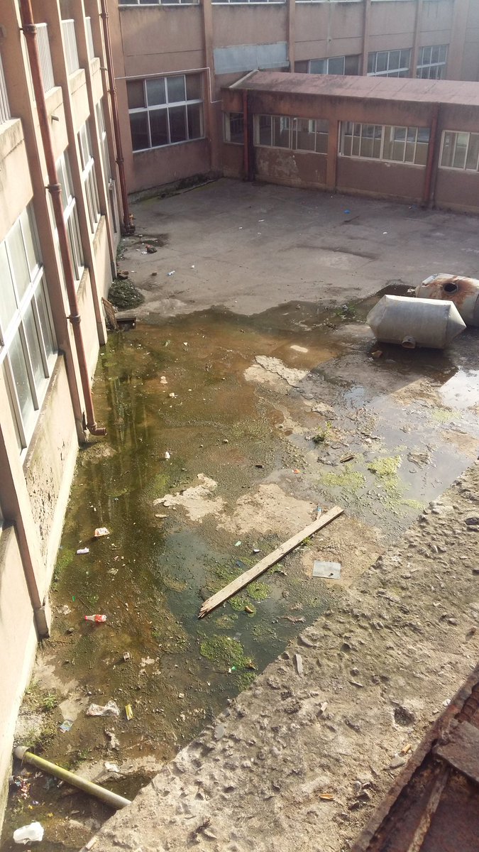 raja_affindi's tweet photo. @ImranKhanPTI @HishamInamullah @IMMahmoodKhan #kpkupdates #kpkhealth latest condition of #ayubmedicalcomplex #abbottabad https://t.co/7FaKwYwfpv