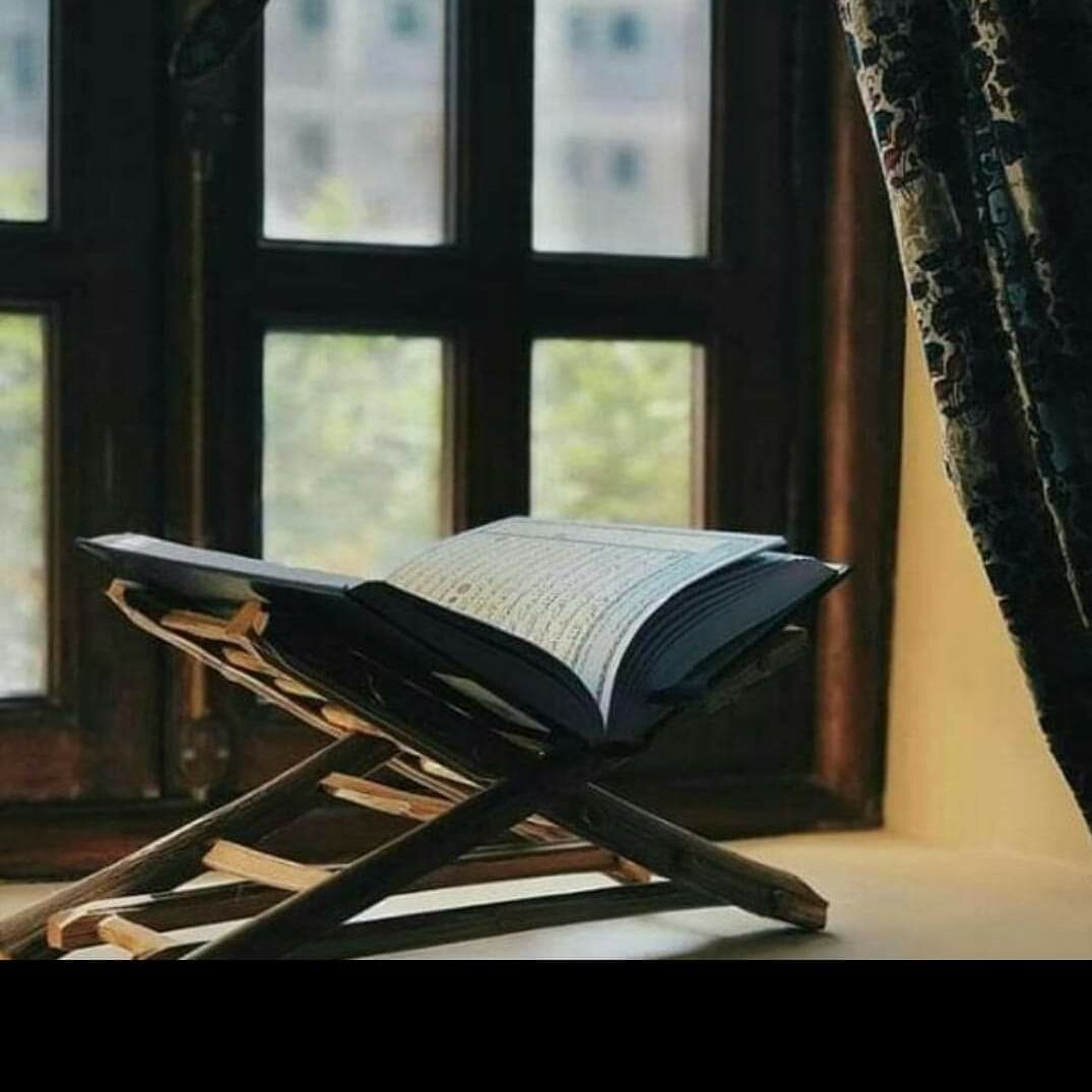 HumansWelfare's tweet image. صاف کہ دیتا ہوں جو میرے دل میں چھپا ہے
یہ (قران) کوئی کتاب نہیں، یہ کچھ اور ہی چیز ہے

جب یہ روح میں سما جاتا ہے تو جان کچھ اور ہی ہو جاتی ہے
اور جب جان کچھ اور ہو جاتی ہے تو جہان بھی کچھ اور ہی ہو جاتا ہے

Allama Iqbal