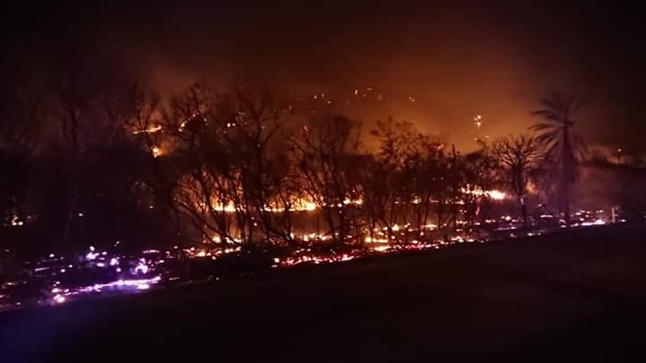 TataQuispe's tweet image. #TataQuispe:
Terrible pérdida hermanos
No hay como llegar rápido pero podemos ayudar de otras meneras a los hermanos de #Roboré la #Chiquitania en el departamento de #SantaCruz. Se perdió mucha cosas y también los comunarios del lugar están afectados
Muy triste 😭