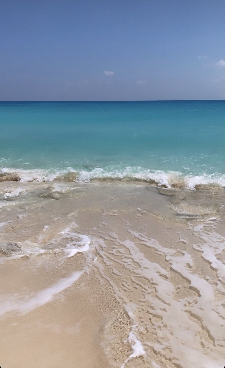 Maha M Al Dabbagh tweet media